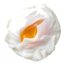 Poached Egg